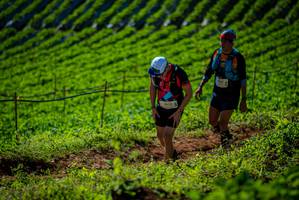 BIB: 
                            <button type="button" onclick="openModal(19161325)" class="btn btn-primary btn-sm float-right btn-popup" data-toggle="modal" data-target=".modal-high-quality">
                        <i class="fas fa-shopping-cart"></i> Add to Cart
                    </button>
                                            <button type="button" onclick="isThisMe(19161325, true)" class="btn btn-success btn-sm float-right btn-popup btn-isme hidden" data-toggle="tooltip" data-placement="bottom" title="นี่คือรูปของคุณใช่ไหม คลิกที่นี่เพื่อเอาเข้าอัลบั้ม">
                        <i class="fas fa-plus"></i> Add to album
                    </button>
                    <button type="button" onclick="isThisMe(19161325, false)" class="btn btn-warning btn-sm float-right btn-popup btn-isnotme hidden">
                        <i class="fas fa-ban"></i> Remove from album
                    </button>